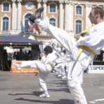 2011 Forom 1008