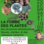 la forme des plantes